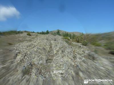 Parque Natural de Tejera Negra - Cantalojas - Guadalajara - Sierra de Ayllón;mejor calidad